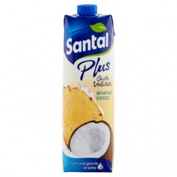 8002580040171 Santal Succo Plus Ananas/Cocco 1000ml