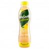 Vitasnella Depurathe' Limone 500ml