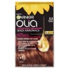 Garnier Olia 5.3 Castano Dorato New 1pz