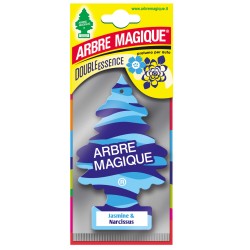 8014211779848 Arbre Magique Double Jasmine & Narcisius 1pz