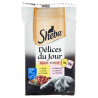 Sheba Cat Delices Du Jour Pollo/Salmone 6x50gr