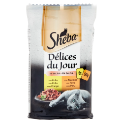 Sheba Cat Delices Du Jour Pollo/Tacchino 6x50gr