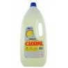 Cloral Candeggina 2lt